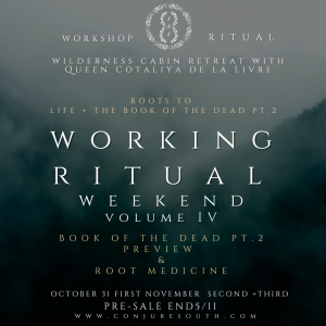 WORKING RITUAL WEEKEND VOL.III (Limited Tickets Available)