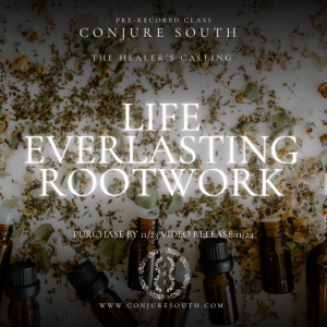 NOVEMBER ROOTWORK + HERBALISM REPLAYABLE CLASS