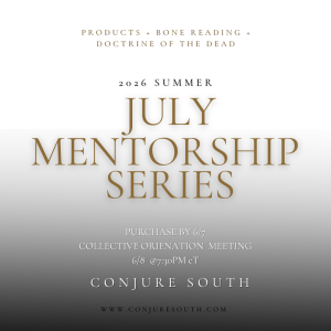 2026 SUMMER MENTORSHIP
